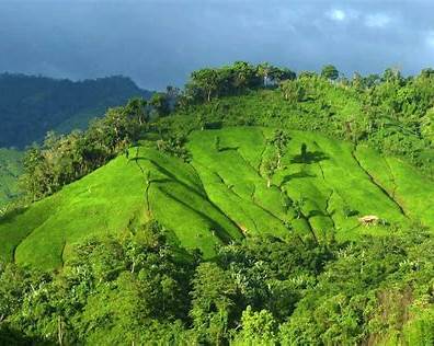 https://www.travelmate.com.bd/wp-content/uploads/2021/04/Chimbuk-Hilly-Slope.jpg