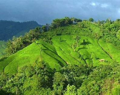 https://www.travelmate.com.bd/wp-content/uploads/2021/04/Chimbuk-Hilly-Slope.jpg