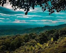 https://www.travelmate.com.bd/wp-content/uploads/2021/04/Chimbuk-Pahar-Surroundings-768x362.jpg